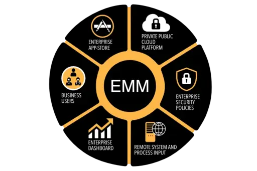 Enterprise Mobility Management (EMM)