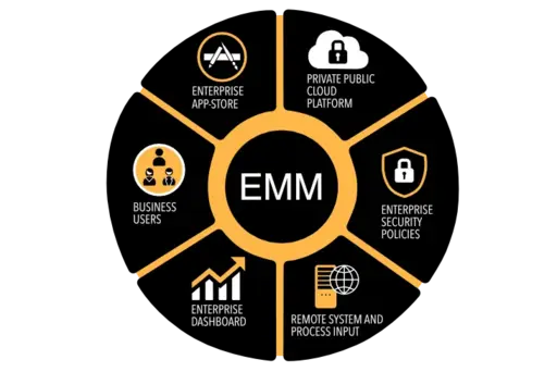 Enterprise Mobility Management (EMM)
